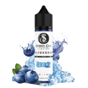 Steam City Blueberry
